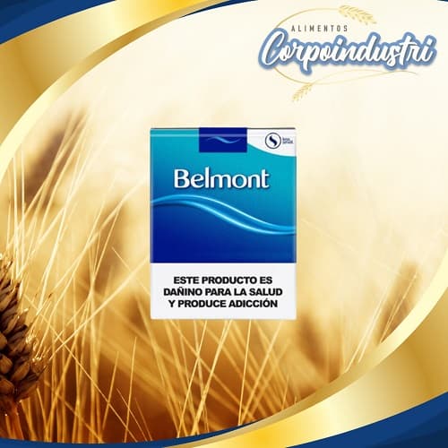 CIGARROS BELMONT GRANDE 10 PAQ