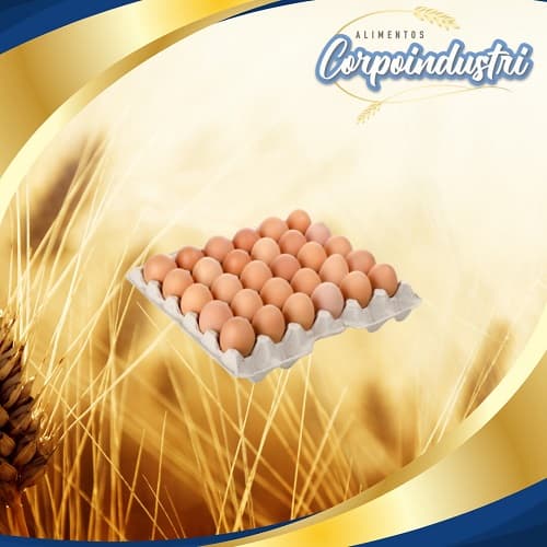 HUEVOS EL TUNAL TIPO B 12 CARTONES - Viveres en Corpoindustri