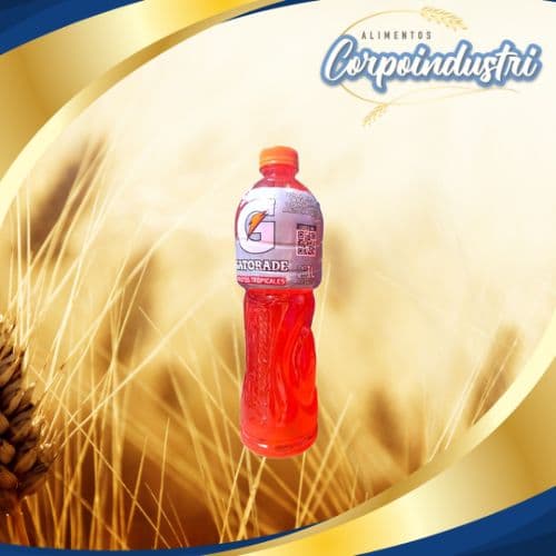 GATORADE TROPI IMPORTADO BS 12 UND 500ML
