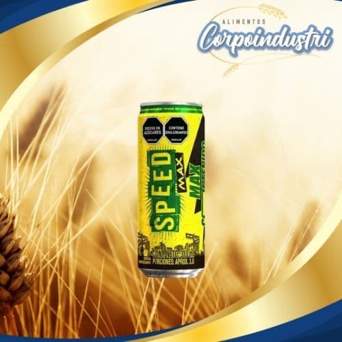 SPEED MAX LATA ORIGINAL 24 UND 310ML