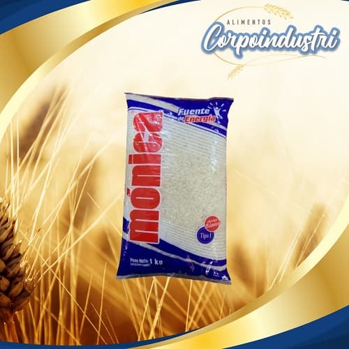 ARROZ BLANCO MONICA BS 24 UND 900GR