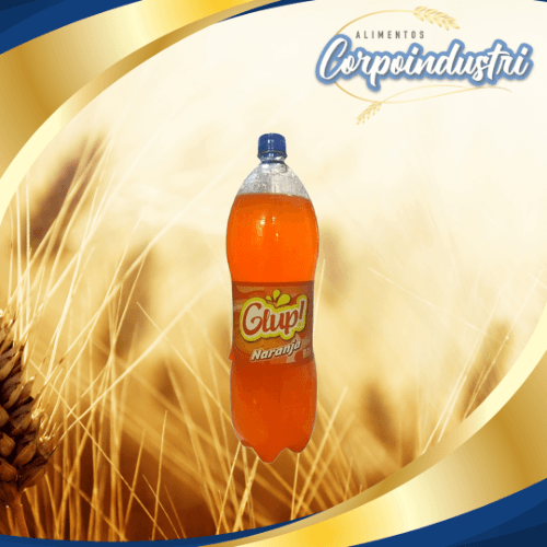 REFRESCO GLUP NARANJA 6 UND 2LTRS
