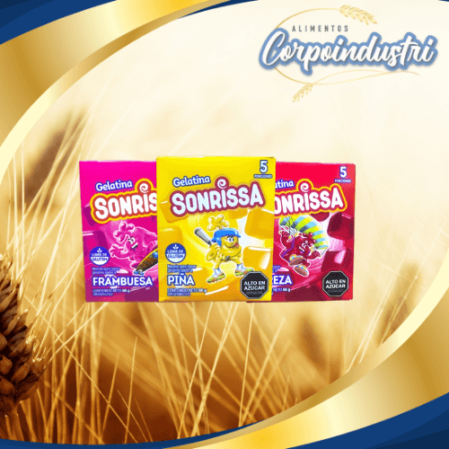 GELATINA SONRISA SURTIDAS 24 UND 66GR - Confiteria en Corpoindustri